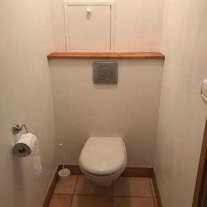 een kleine badkamer met een toilet en een rol toiletpapier bij Chalet de Montalbert 22B in Montalbert