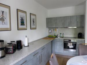 a kitchen with gray cabinets and a counter top at Ferienwohnung Jano - Residenz am See in Lalendorf