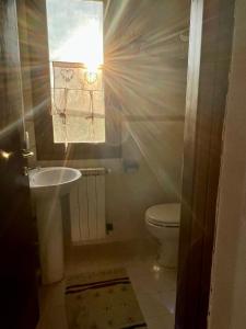 een kleine badkamer met een wastafel en een toilet bij Piccolo Fienile in Calcinaia