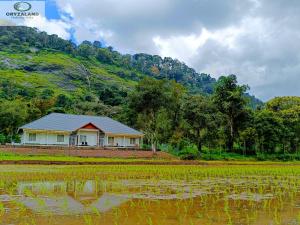 a house in the middle of a rice field at Oryzaland Holiday Villa in Munnar