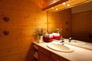 a bathroom with a sink and a mirror at Chalet Juliet 10 people in Montalbert