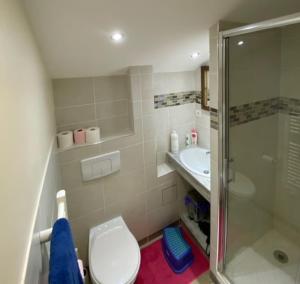 a bathroom with a shower and a toilet and a sink at Signal 308 apartment 6 person in Aime-La Plagne