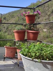 Fotografie z fotogalerie ubytování Tottavilla Affittacamere v destinaci Campodonico