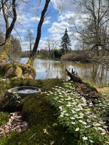 a body of water next to a pond with trees at Private apartment in historic castle from 1608 with tenniscourt in Zeitlofs