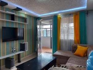 TV a/nebo společenská místnost v ubytování Parkview apartments