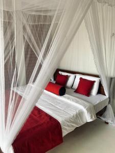 a bed with white curtains and red pillows at adam's apple homestay in Ella