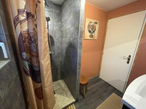 a shower in a bathroom with a shower curtain at Le chalet des Pesettes in Thorens-Glières