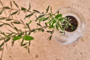 Fotografie z fotogalerie ubytování Puro Grand Hotel v destinaci Palma de Mallorca
