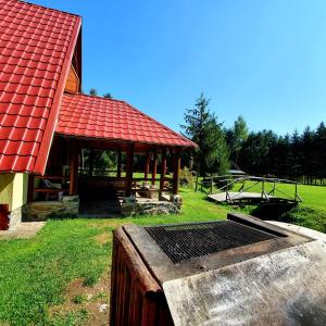 ein Gebäude mit rotem Dach und einem Grill im Gras in der Unterkunft Doi Frati in Topliţa