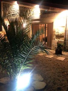 Ogród w obiekcie Le Chai de l'Océan -Maison plage à 300m - Jardin Terrasse