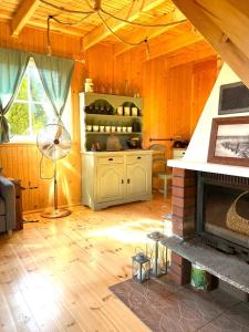 a living room with a fireplace and a fan at Oliwkowy gaj in Sasino