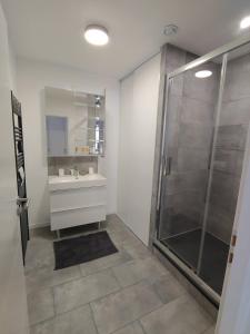 uma casa de banho com um chuveiro e um lavatório. em Maison d’hôte neuve : T2 pour 4 voyageurs em Mios