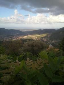 Salvia e Rosmarino a vista de pájaro