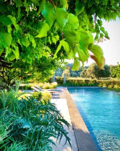 a swimming pool in a yard with trees at Le Pavillon de Galon in Cucuron