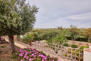 Zahrada ubytování Villa Alcotán Layos by Toledo AP
