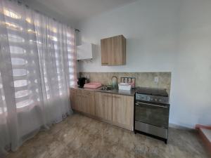 une cuisine avec un évier et une cuisinière four supérieur dans l'établissement Villa Raven's Paradise (Rosado), à Willemstad