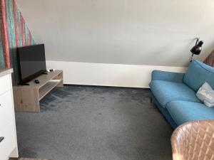 ein Wohnzimmer mit einem blauen Sofa und einem TV in der Unterkunft Urban Nature13 in Grömitz