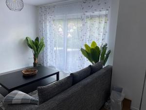 uma sala de estar com um sofá e uma janela em Ferienwohnung Haus Mira 