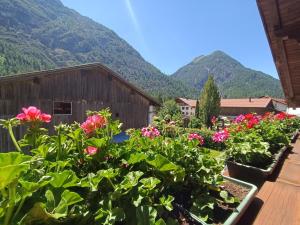 a garden with flowers and mountains in the background at Ferienwohnung Sonja in Bach