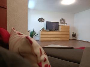 a living room with a couch and a tv at Ferienwohnung Sonja in Bach