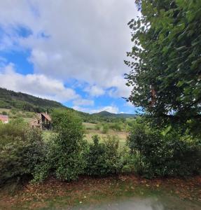 um campo com arbustos e uma casa à distância em Le Breit Maison De Charme Avec Sa Dependance em Breitenbach