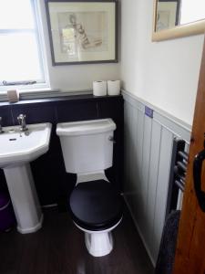 a bathroom with a toilet and a sink at High Ground Cottage, Eskdale in Eskdale