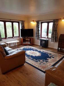 a living room with a couch and a large rug at Blaencwm Cottages in Boncath