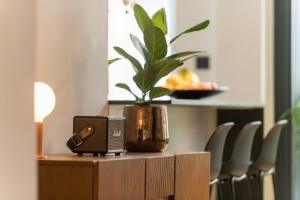 une table avec un haut-parleur et une plante en pot dans l'établissement Appartement Guillemins station, à Liège