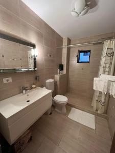 a bathroom with a white sink and a toilet at Aparthotel Brown in Bucharest