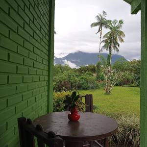 莫雷蒂斯的住宿－Pura Vida Residence，桌子上摆着植物