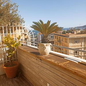 a balcony with a plant in a pot on a ledge at Casa Palmira in La Spezia