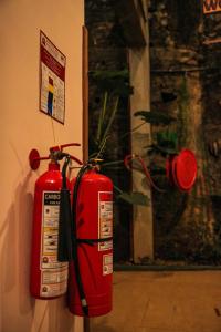 Imagem da galeria de O2 Ella em Ella