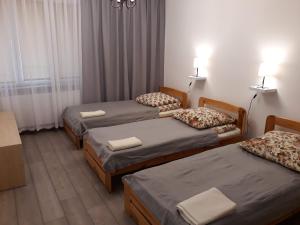 a room with three beds in a room at Pokoje u Ludwika in Włodawa