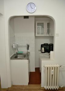 Eldhús eða eldhúskrókur á Apartman ANA