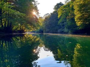 a river with trees and the sun reflecting in the water at Lahinja & Kolpa river apartments in Metlika