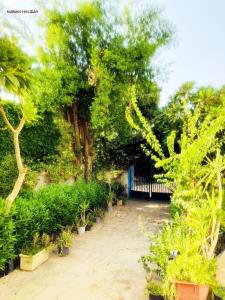 a garden with trees and plants and a fence at Nubian Holiday House Aswan in Aswan