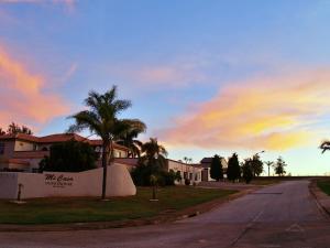 a street in front of a building with palm trees at Mi Casa Guest House in Uitenhage