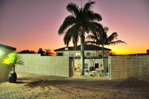 a palm tree in front of a house at Mi Casa Guest House in Uitenhage +55 photos