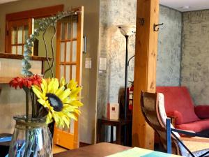 Fotografie z fotogalerie ubytování Mistiso's Place Vacation Rentals v destinaci Nelson