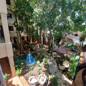 Zahrada ubytování Hotel Nojoch che