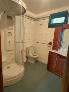 a bathroom with a shower and a toilet and a sink at Lar do Pilís in Ourense