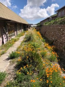 a field of yellow and orange flowers next to a building at Hotel Las Vicuñas in Putre