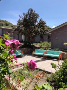 a group of benches in a yard with pink flowers at Hotel Las Vicuñas in Putre