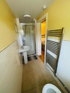 a bathroom with a toilet and a sink and a shower at The Boat Inn Hayton in Retford