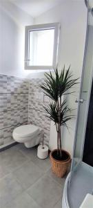 a bathroom with a toilet and a potted plant at Gite le Chamaju in Labeaume