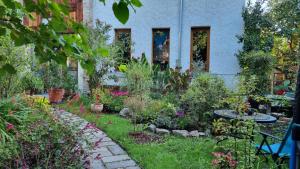 a garden in front of a house with plants at Flaneurstudio in Szentendre