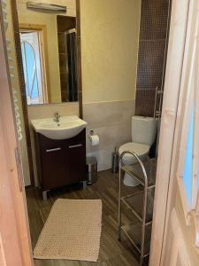 a bathroom with a sink and a toilet and a mirror at Domek u Orszulaków in Witów