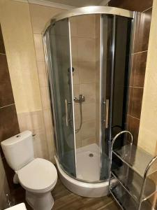 a bathroom with a toilet and a glass shower at Domek u Orszulaków in Witów