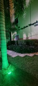 a green light on the grass next to a palm tree at flat Luiz Carlos Mouzinho in Teresina +31 photos
