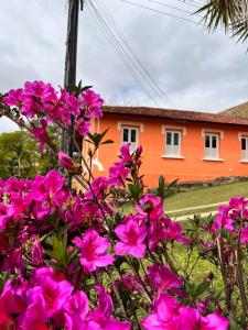 a bunch of pink flowers in front of a house at Pousada Campestre Cunha-SP in Cunha